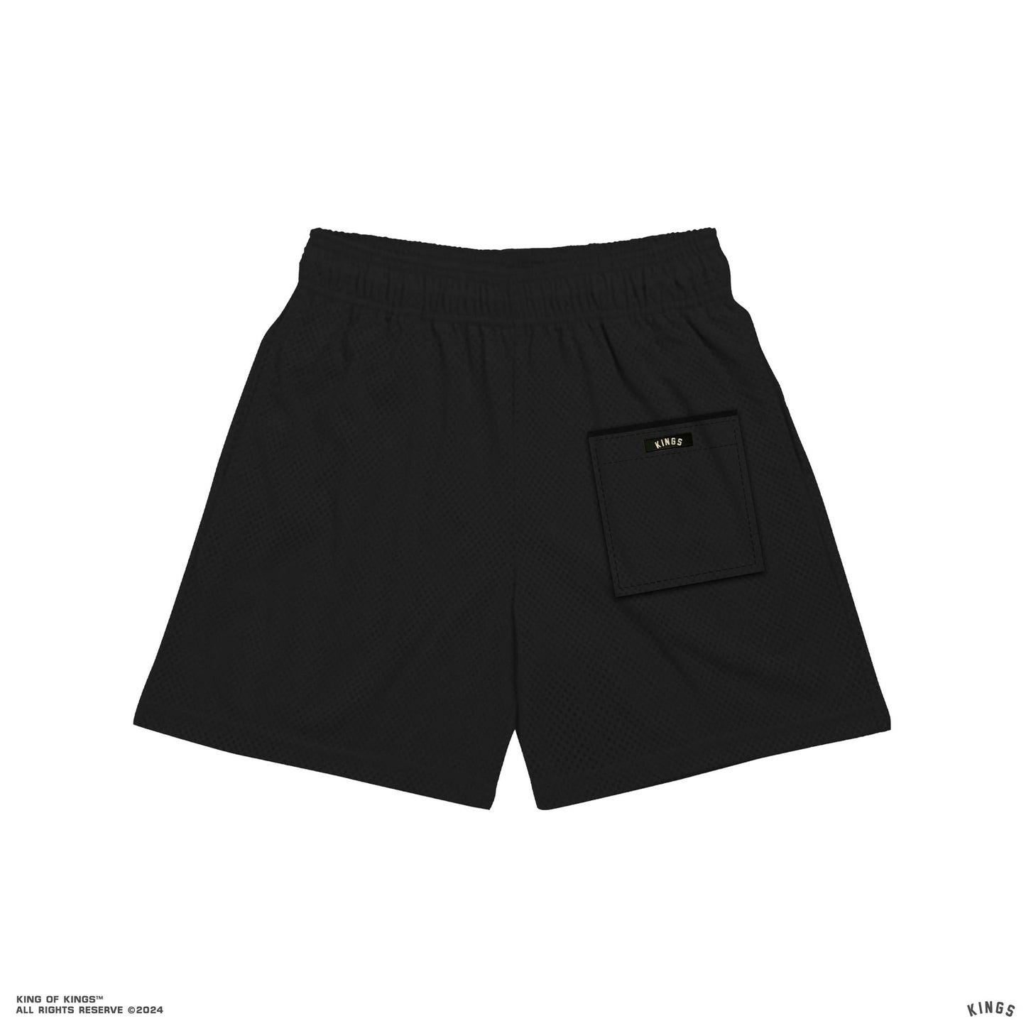 ARCTIC OREA MESH SHORT